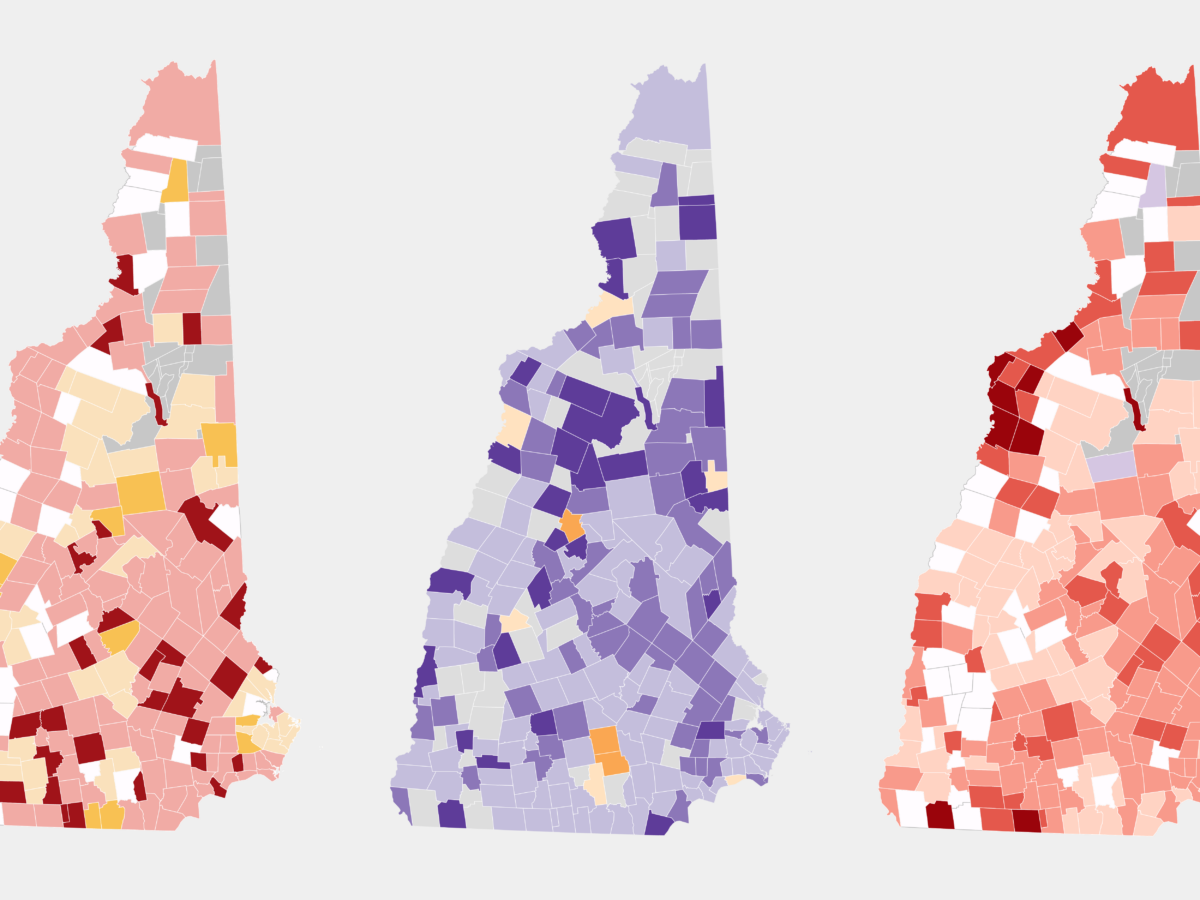 Record Turnout in New Hampshire's Republican Primary: Trump Triumphs Again