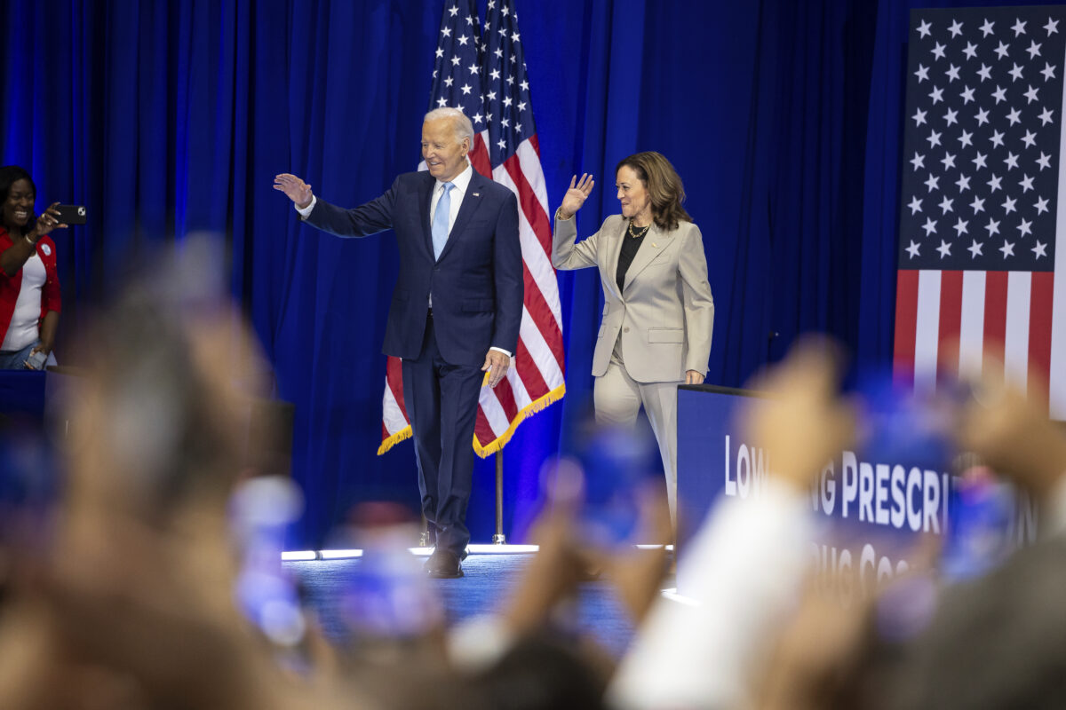 Kamala Harris's Policy Agenda: Democratic Strategy for 2024 Presidential Election