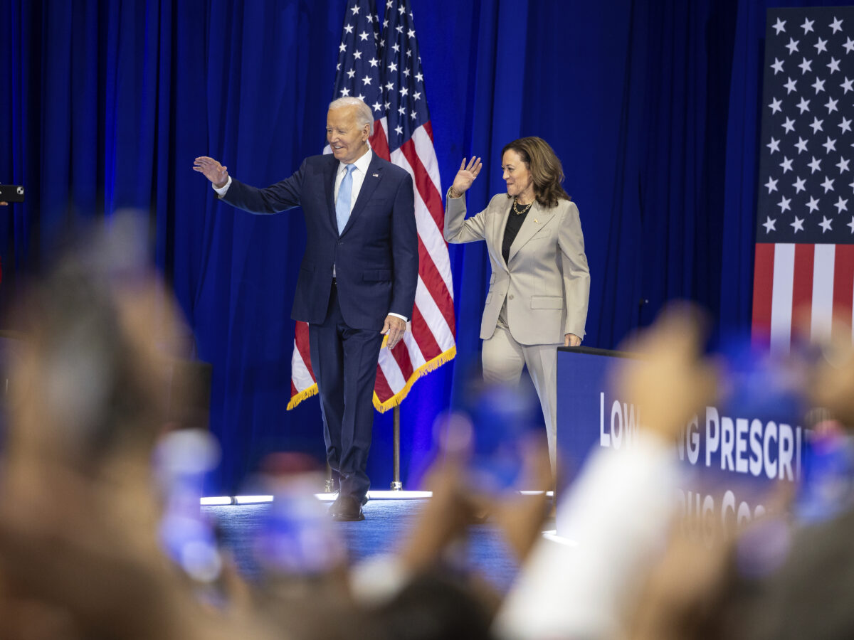 Kamala Harris's Policy Agenda: Democratic Strategy for 2024 Presidential Election